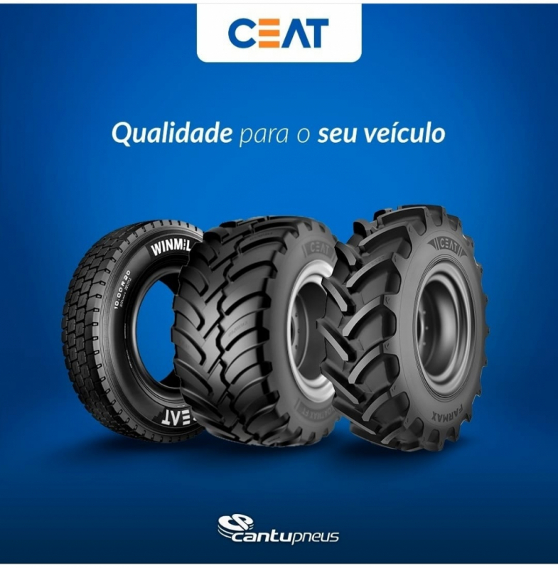 Fornecedor de Peças para Caminhão Ford Guianases - Peças Caminhão Belo Horizonte